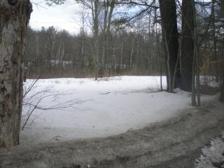 317 Forest Rd, Wilton, NH 03086-5135