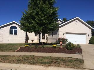 1 Virginia Ln, Buckhart, IL 62563-9269