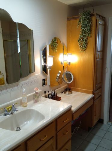 152 Larchmont Way, Lemont IL  60440-2669 exterior