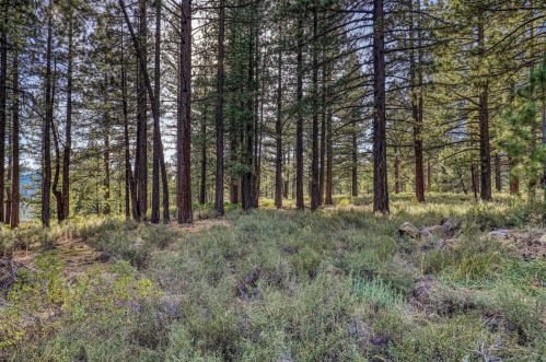 10166 Olympic Blvd, Truckee, CA 96161-1745