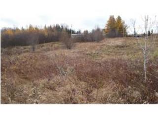 100 Milan Rd, Dummer, NH 03588-3316