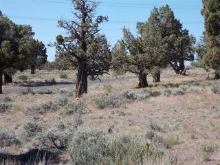 2272 Dunlin Ct, Eagle Crest, OR 97756-7178