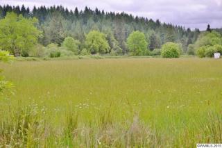 31294 Bellinger Rd, Lebanon, OR 97355-9728