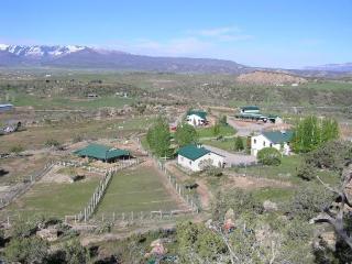 3692 County Road 331, Silt, CO 81652-9607