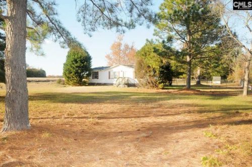 236 Ben Spires Rd, Gaston, SC 29053-9815