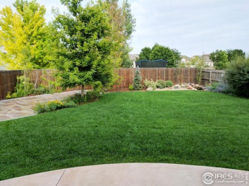 206 Windflower Way, Fort Collins CO  80550-6233 exterior