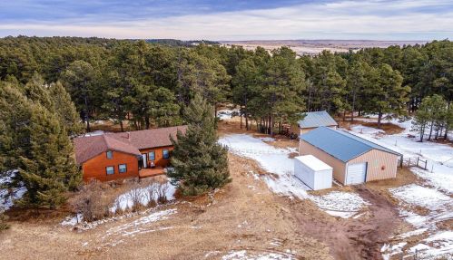 17645 Cleese Ct, Amo, CO 80831-9470