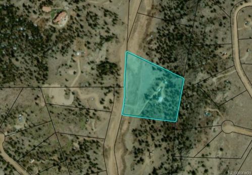 1544 Stagestop Rd, Fairplay, CO 80456-9601