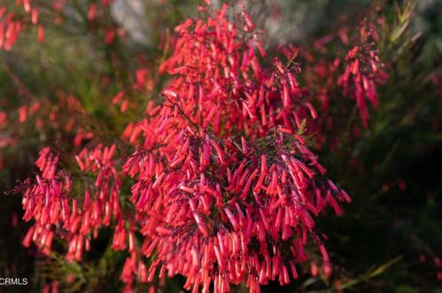 5028 Ramsdell Ave, Glendale CA 91214-1962 exterior