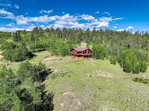 137 Outlaw Ct, Fairplay CO 80456-9762 exterior