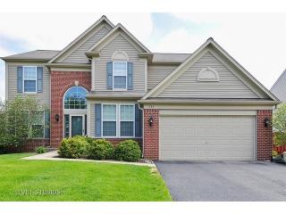 393 Hogan St, Lemont IL  60490-2129 exterior