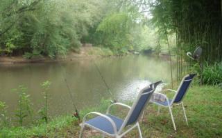 33 4th St, Ellijay, GA 30540-6455