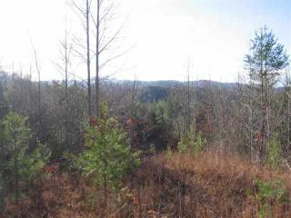 485 Archville Rd, Reliance, TN 37369-6217