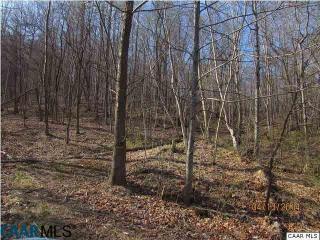 2643 Davis Creek Ln, Lovingston, VA 22949-2647