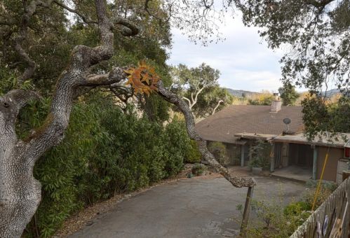 81 Garzas Rd, Tassajara Hot Springs, CA 93924-9450