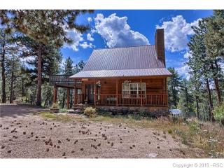 8823 Cedar Mountain Rd, Divide, CO 80814-9118