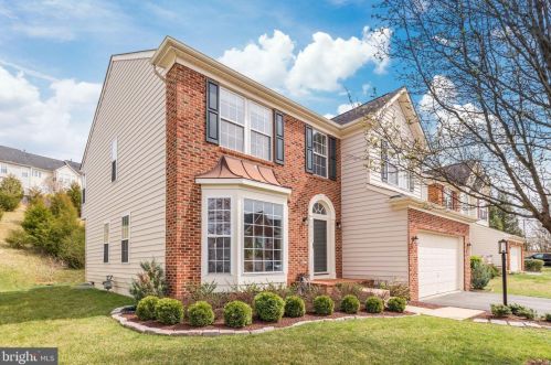 19242 Coton Holdings Ct, Leesburg, VA 20176-3867