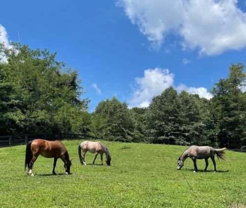 967 Fairway Dr, Big Canoe GA  30143-7212 exterior