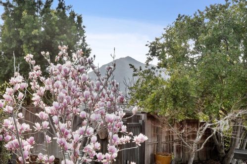 8 Cypress Ave, San Rafael, CA 94904-1018
