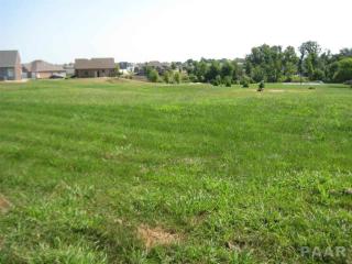 709 Dallas Rd, Beverly Manor, IL 61571-9229