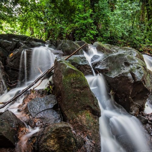 2101 Nuuanu Ave, Honolulu HI  96817-1764 exterior