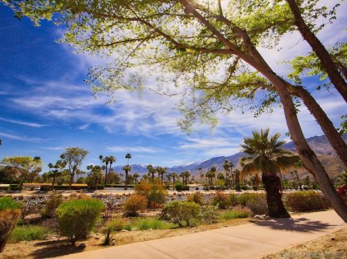 1450 Riverside Dr, Palm Springs, CA 92264-8143