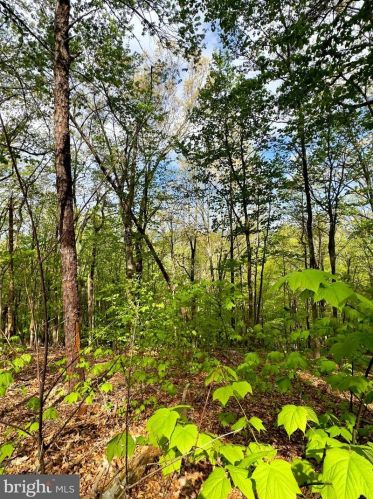 1765 Peters Mountain Ln, Upper Tract WV  26866 exterior