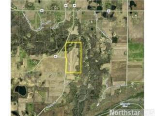 16385 Homestead Rd, Carver, MN 55315-9651