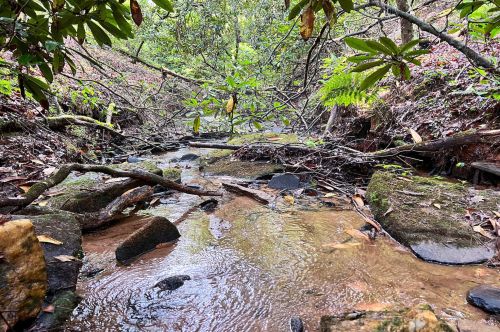 1500 Soque Wilderness Rd, Clarkesville, GA 30523-2707