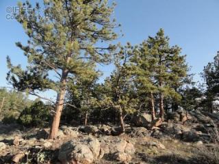 66 Matterhorn Ct, Red Feather Lakes, CO 80536-9377