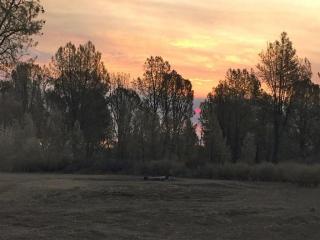 6182 Happy Valley Rd, Anderson, CA 96007-9205