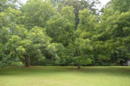 1455 Pates Creek Rd, Stockbridge GA  30281-4929 exterior