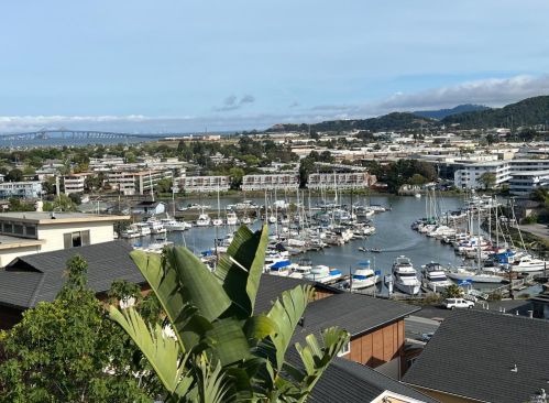 32 Alta Vista Way, San Rafael, CA 94901-3517