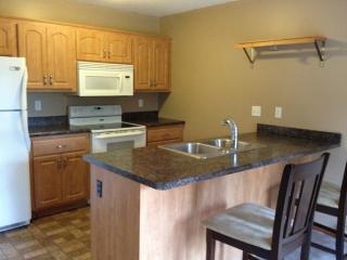 1433 Pacific St, Saint Paul MN  55106-6512 exterior