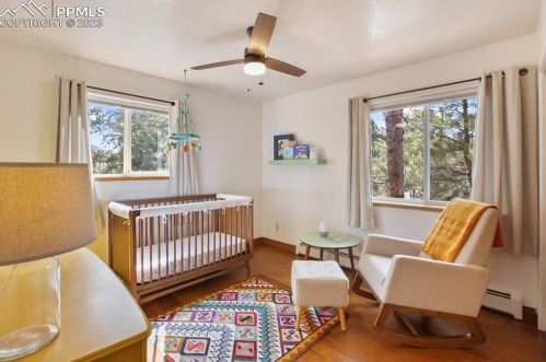 2998 Sunnywood Ave, Woodland Park CO  80863-9423 exterior