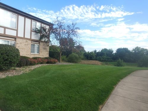 1411 Berta Dr, Joliet IL  60403-0920 exterior