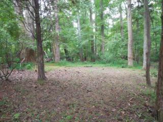 9924 Sycamore Landing Rd, Williamsburg, VA