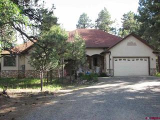 173 Badger Trl, Ridgway, CO 81432-9493