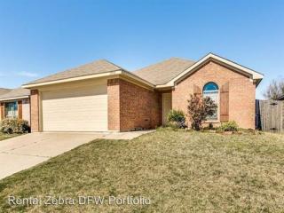 2900 Carolina Dr, Fort Worth TX  76123-1662 exterior