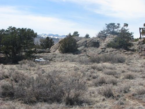 1257 Cattle Drive Rd, Plaza, CO 81132-8714