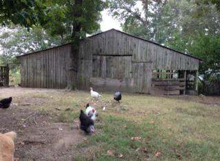 310 Jack Little Rd, Sardis, TN 38371-4034