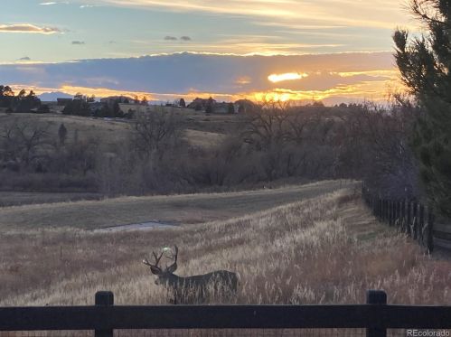 12143 Tallkid Ct, Parker CO 80138-8813 exterior