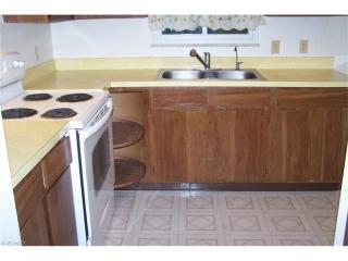 1111 Bryce Ave, Aurora OH  44202-9564 exterior