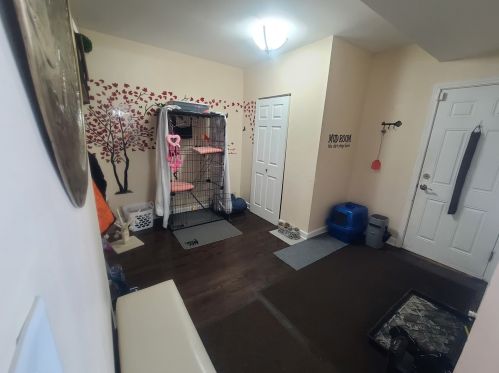 210 Monroe Rd, Lemont IL  60440-2023 exterior