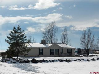 61758 Falcon Rd, Montrose, CO 81401-9245