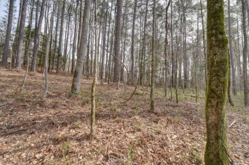 3361 Deer Hollow Trl, Conyers GA  exterior