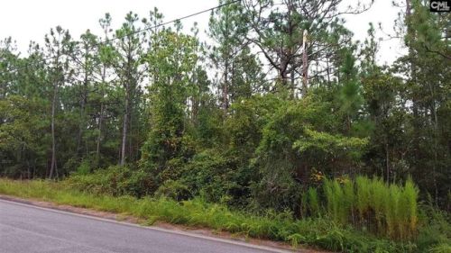 321 Shetland Ln, Lexington, SC 29073-7900