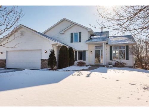 117 Wildflower Ct, Minnetrista, MN 55388