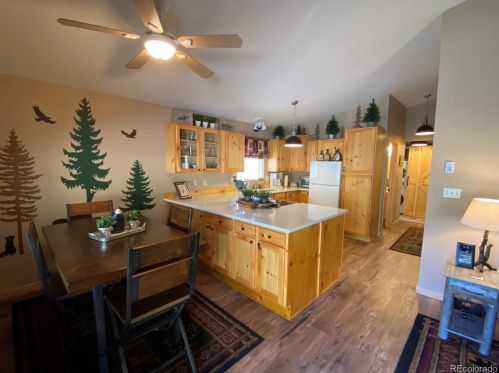 643 Arapahoe Trl, Tarryall, CO 80827-9700