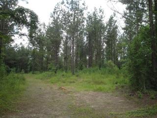 1 Rockport Rd, Lexington, MS 39095-5151